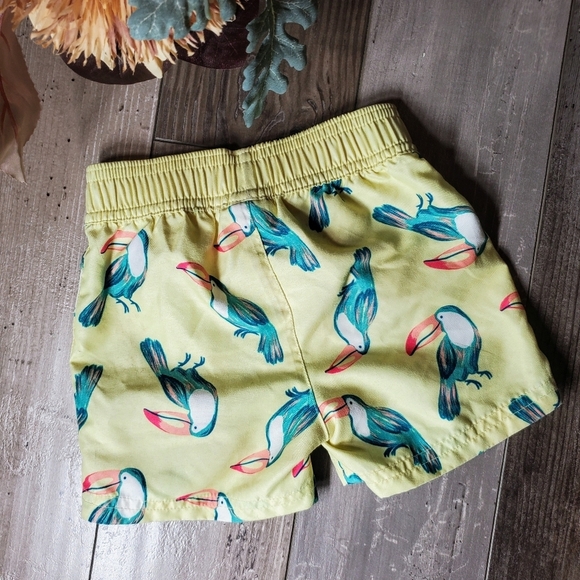 Rashguard And Swim Trunks 2pc Set By Carter's Child Of Mine Size 12m EUC - Picture 11 of 16